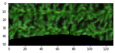_images/spatial_crop_inline.png