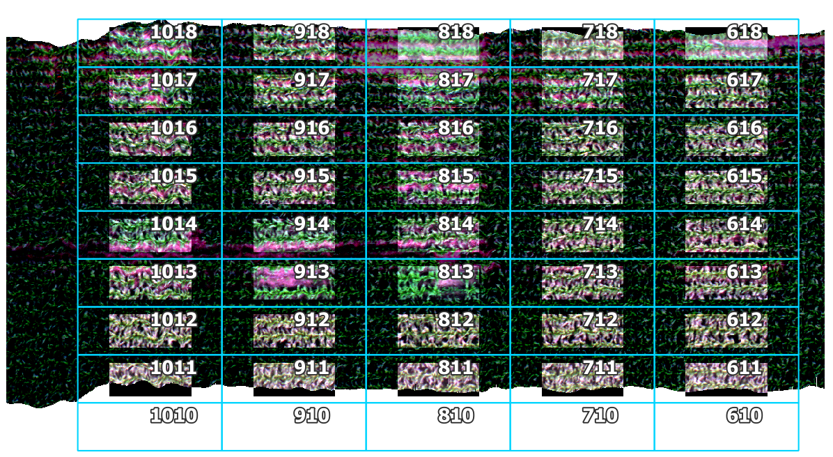 spatial-crop-tifs